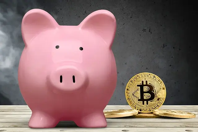 piggy and Bitcoin